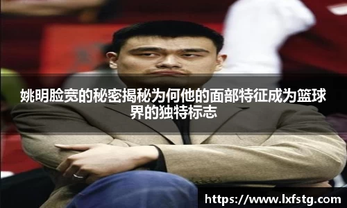 摩根体育