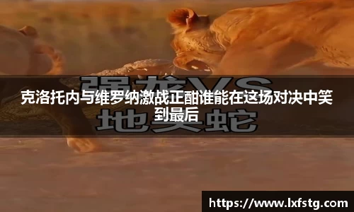 摩根体育