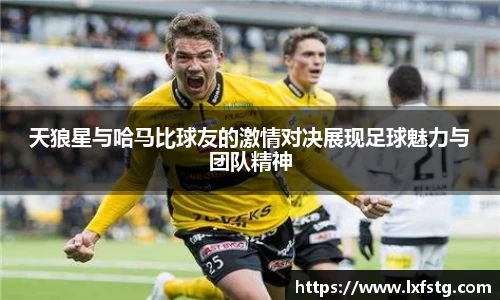 摩根体育