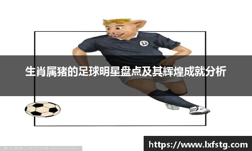 生肖属猪的足球明星盘点及其辉煌成就分析