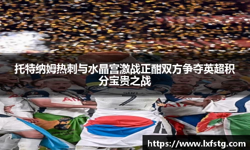 托特纳姆热刺与水晶宫激战正酣双方争夺英超积分宝贵之战